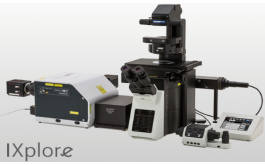 超高分辨率转盘共聚焦显微镜
