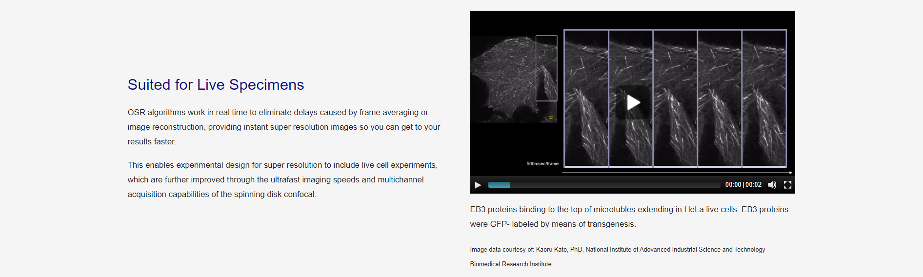 超高分辨率转盘共聚焦显微镜(图3)