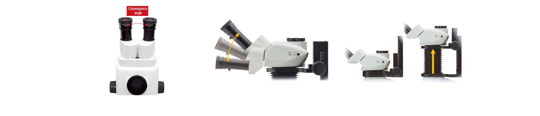 科研级体式荧光显微镜(图10)
