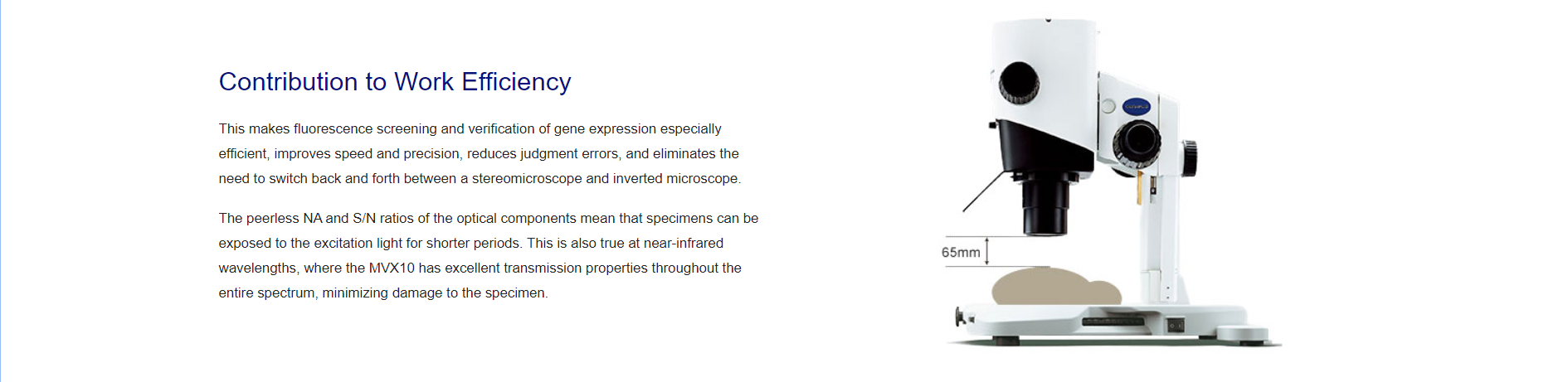 宏观变倍显微镜(图4)