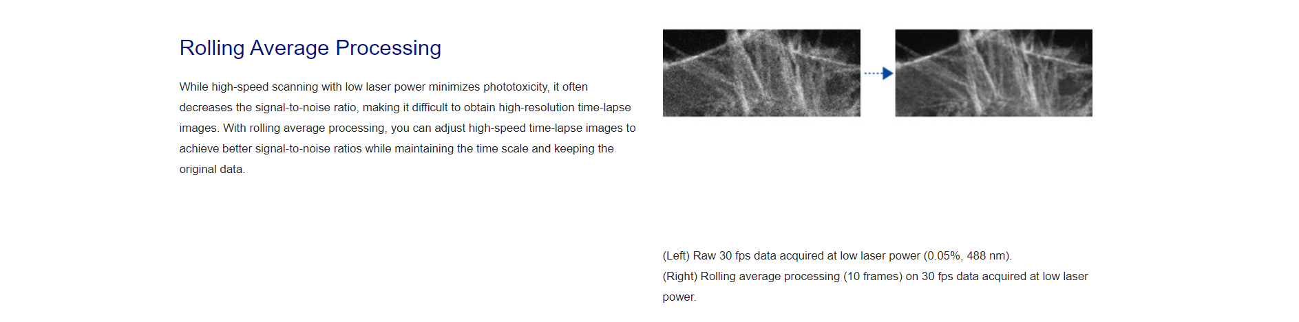 扫描共聚焦显微镜(图14)