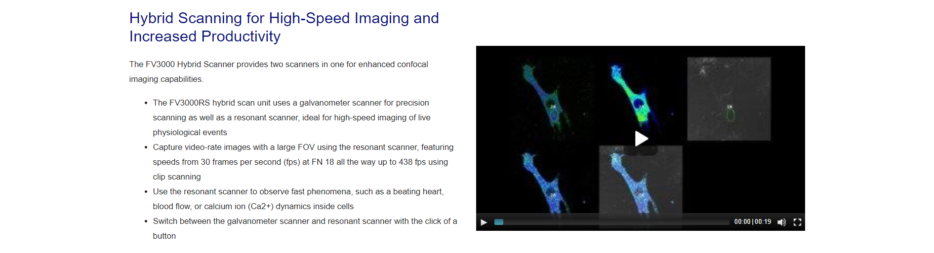扫描共聚焦显微镜(图5)