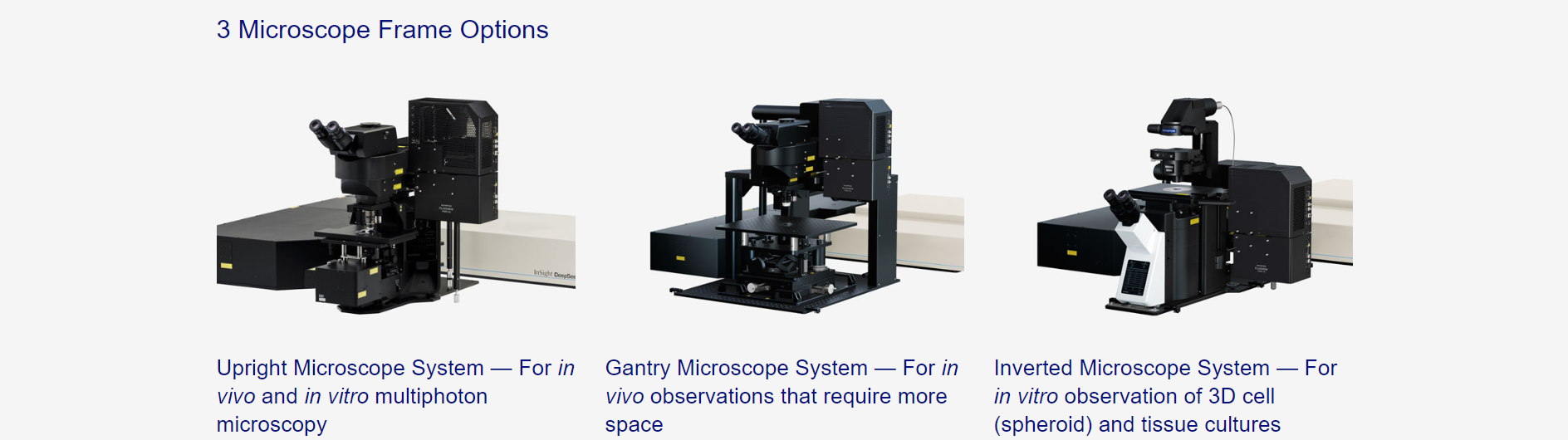 双光子显微镜(图7)