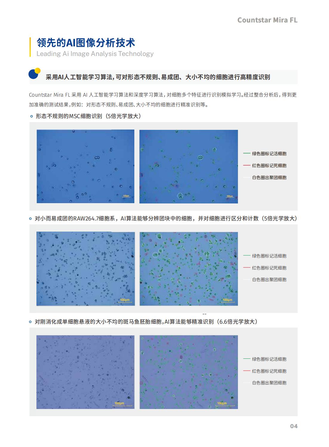 Countstar Mira FL 全自动细胞荧光分析系统(图5)